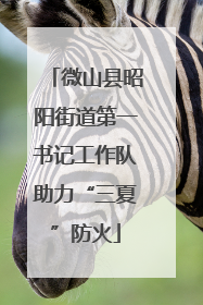 微山县昭阳街道第一书记工作队助力“三夏”防火
