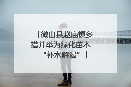 微山县赵庙镇多措并举为绿化苗木“补水解渴”
