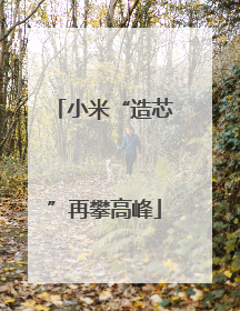 小米“造芯”再攀高峰