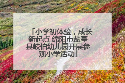 小学初体验，成长新起点 绵阳市盐亭县岐伯幼儿园开展参观小学活动