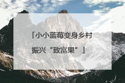 小小蓝莓变身乡村振兴“致富果”