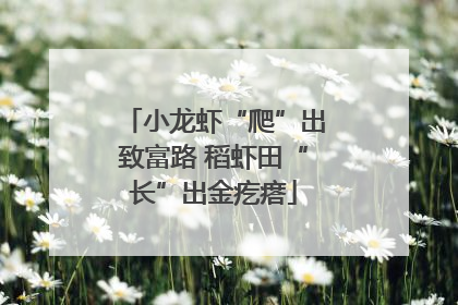 小龙虾“爬”出致富路 稻虾田“长”出金疙瘩