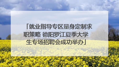 就业指导专区量身定制求职策略 德阳罗江夏季大学生专场招聘会成功举办