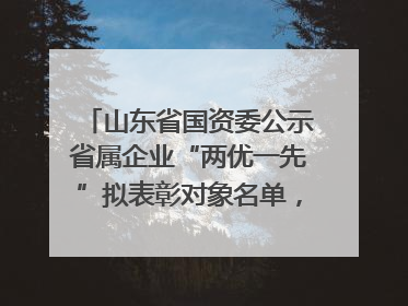 山东省国资委公示省属企业“两优一先”拟表彰对象名单，共250名（个）党员和党组织