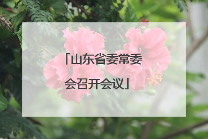 山东省委常委会召开会议