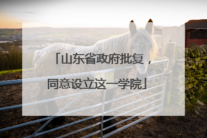 山东省政府批复，同意设立这一学院