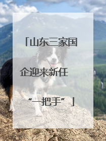 山东三家国企迎来新任 “一把手”