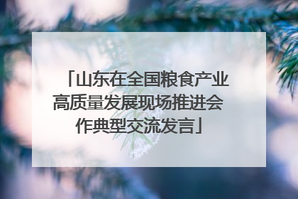 山东在全国粮食产业高质量发展现场推进会作典型交流发言