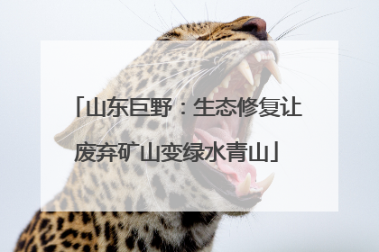 山东巨野：生态修复让废弃矿山变绿水青山