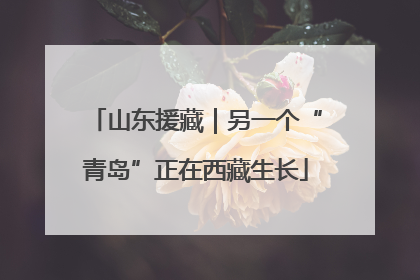 山东援藏｜另一个“青岛”正在西藏生长