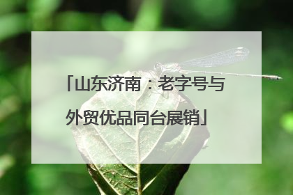 山东济南：老字号与外贸优品同台展销
