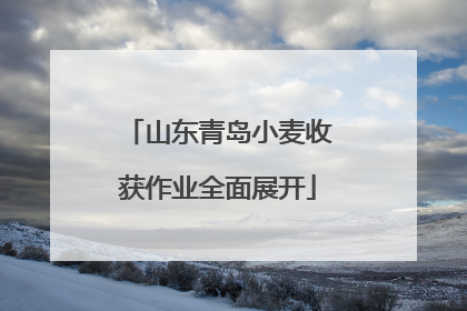 山东青岛小麦收获作业全面展开