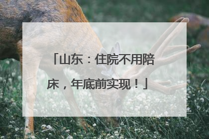 山东：住院不用陪床，年底前实现！