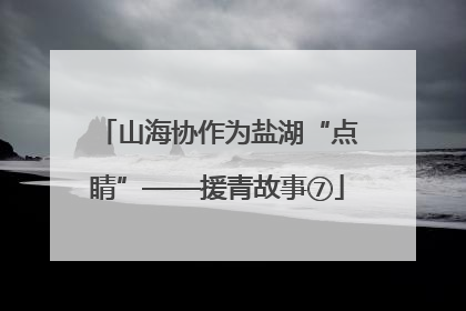 山海协作为盐湖“点睛”——援青故事⑦