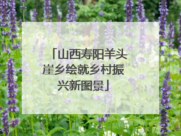 山西寿阳羊头崖乡绘就乡村振兴新图景