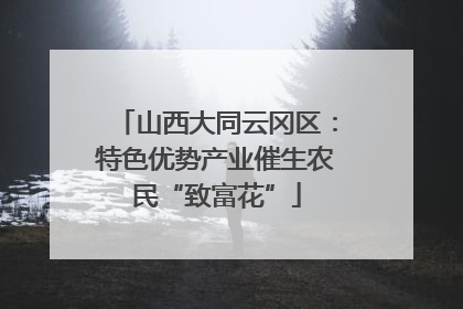 山西大同云冈区：特色优势产业催生农民“致富花”
