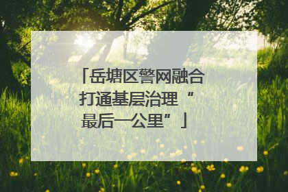 岳塘区警网融合 打通基层治理“最后一公里”