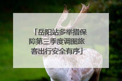 岳阳站多举措保障第三季度调图旅客出行安全有序