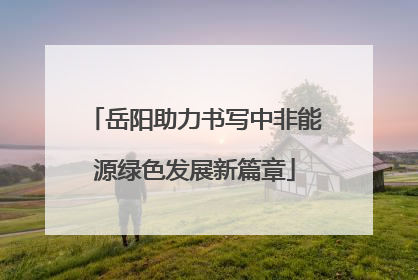 岳阳助力书写中非能源绿色发展新篇章