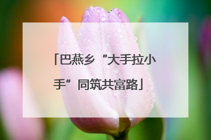 巴燕乡“大手拉小手”同筑共富路