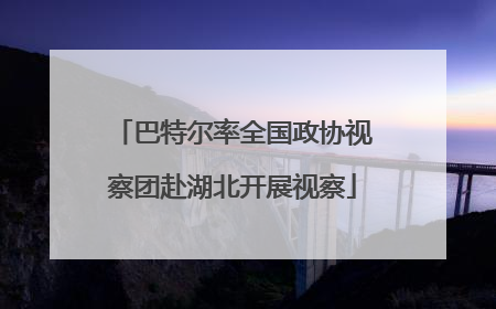 巴特尔率全国政协视察团赴湖北开展视察