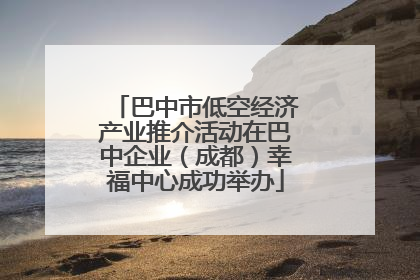 巴中市低空经济产业推介活动在巴中企业（成都）幸福中心成功举办