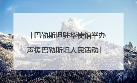 巴勒斯坦驻华使馆举办声援巴勒斯坦人民活动