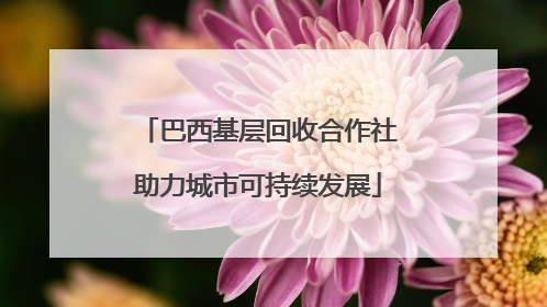 巴西基层回收合作社助力城市可持续发展