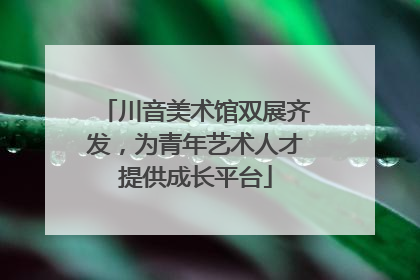 川音美术馆双展齐发，为青年艺术人才提供成长平台