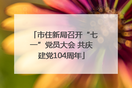 市住新局召开“七一”党员大会 共庆建党104周年