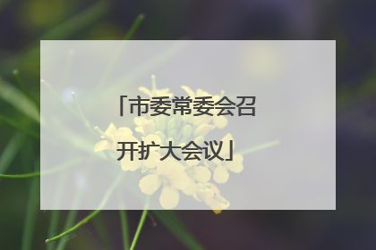 市委常委会召开扩大会议
