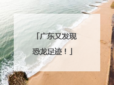 广东又发现恐龙足迹！