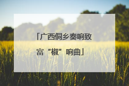 广西侗乡奏响致富“椒”响曲