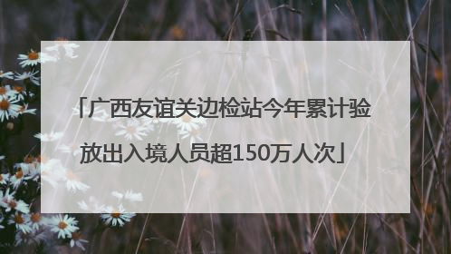 广西友谊关边检站今年累计验放出入境人员超150万人次