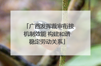广西发挥裁审衔接机制效能 构建和谐稳定劳动关系