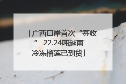 广西口岸首次“签收” 22.24吨越南冷冻榴莲已到货