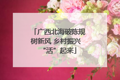 广西北海破陈规树新风 乡村振兴“活”起来