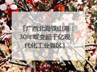 广西北海铁山港：30年蝶变超千亿现代化工业强区
