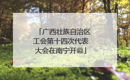 广西壮族自治区工会第十四次代表大会在南宁开幕