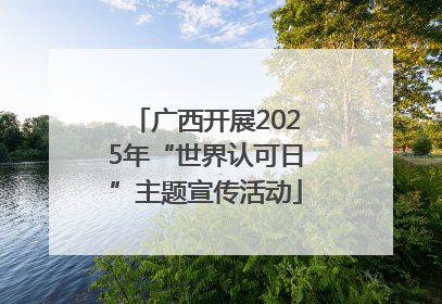 广西开展2025年“世界认可日”主题宣传活动