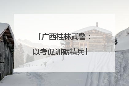 广西桂林武警：以考促训砺精兵