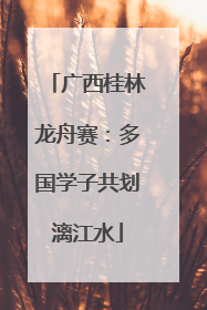 广西桂林龙舟赛：多国学子共划漓江水