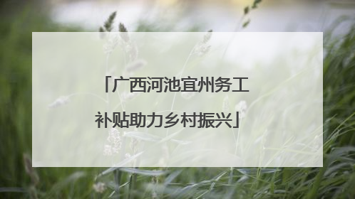 广西河池宜州务工补贴助力乡村振兴