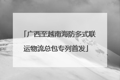 广西至越南海防多式联运物流总包专列首发