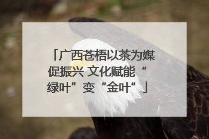 广西苍梧以茶为媒促振兴 文化赋能“绿叶”变“金叶”