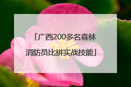 广西200多名森林消防员比拼实战技能