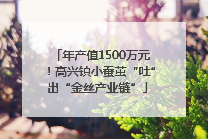年产值1500万元！高兴镇小蚕茧“吐”出“金丝产业链”