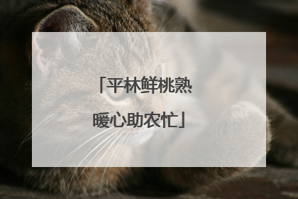 平林鲜桃熟 暖心助农忙
