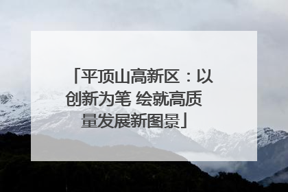 平顶山高新区：以创新为笔 绘就高质量发展新图景
