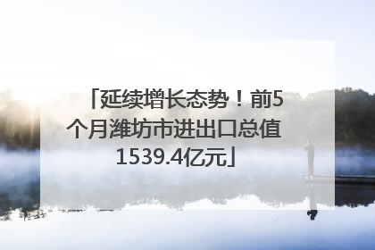 延续增长态势！前5个月潍坊市进出口总值1539.4亿元